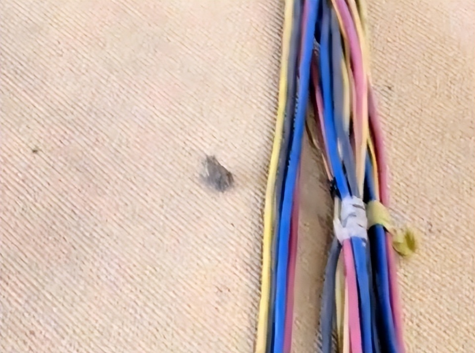 owaDG, 日本女队主